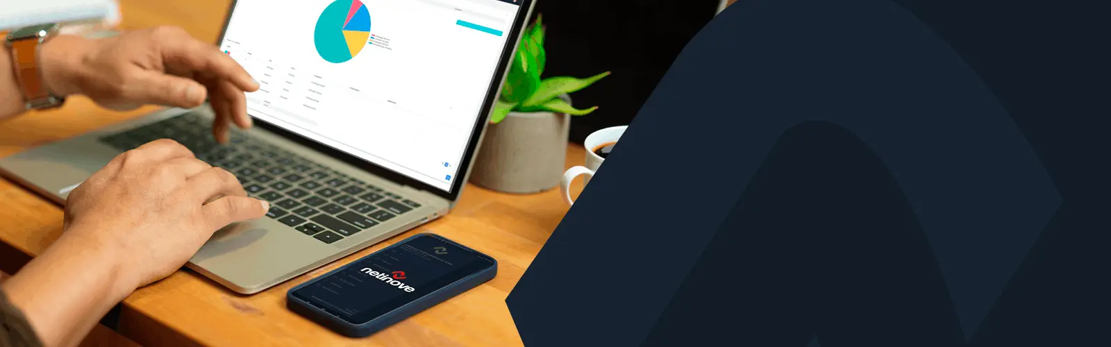 Controle sua mercadoria, cobranças e vendedores com o Sistema Netinove